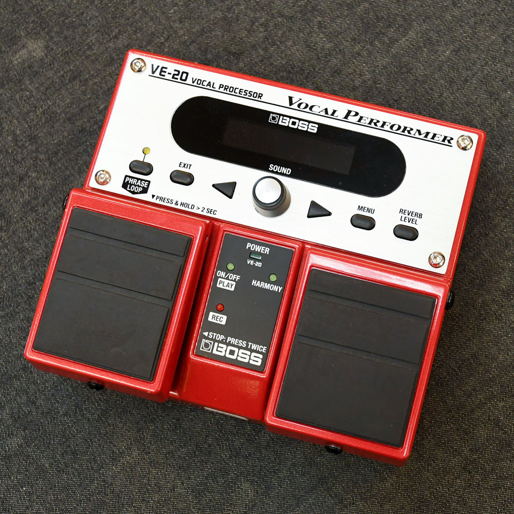 VE-20 Vocal Performer