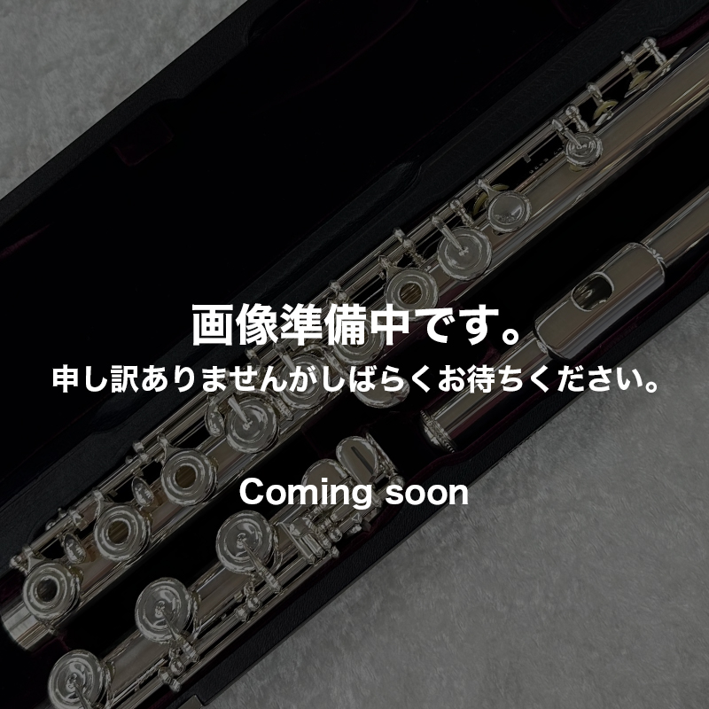 MS95