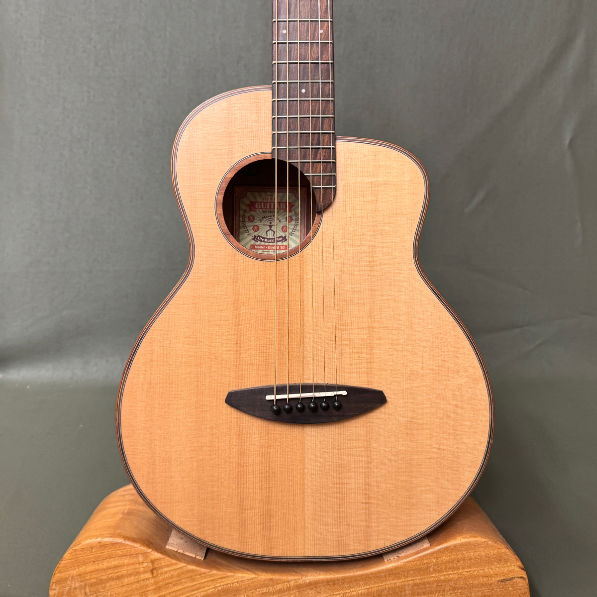 Bird M10