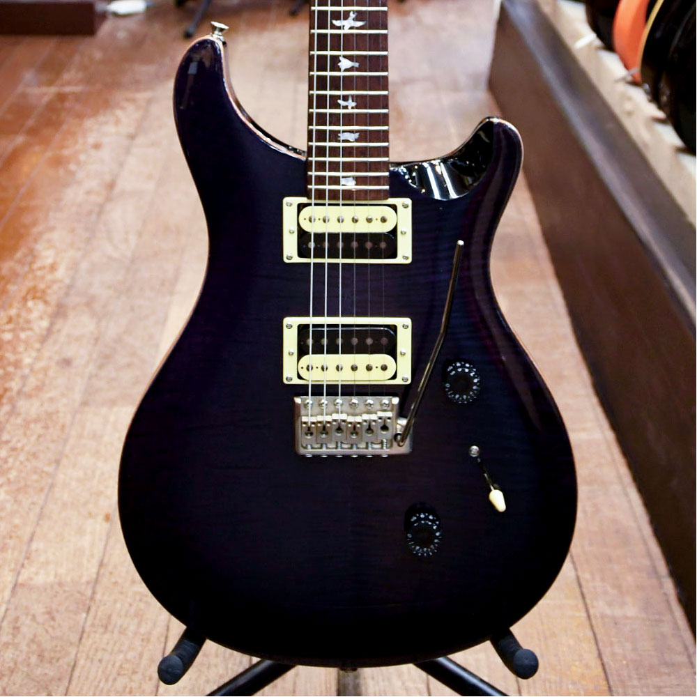 SE Custom 24