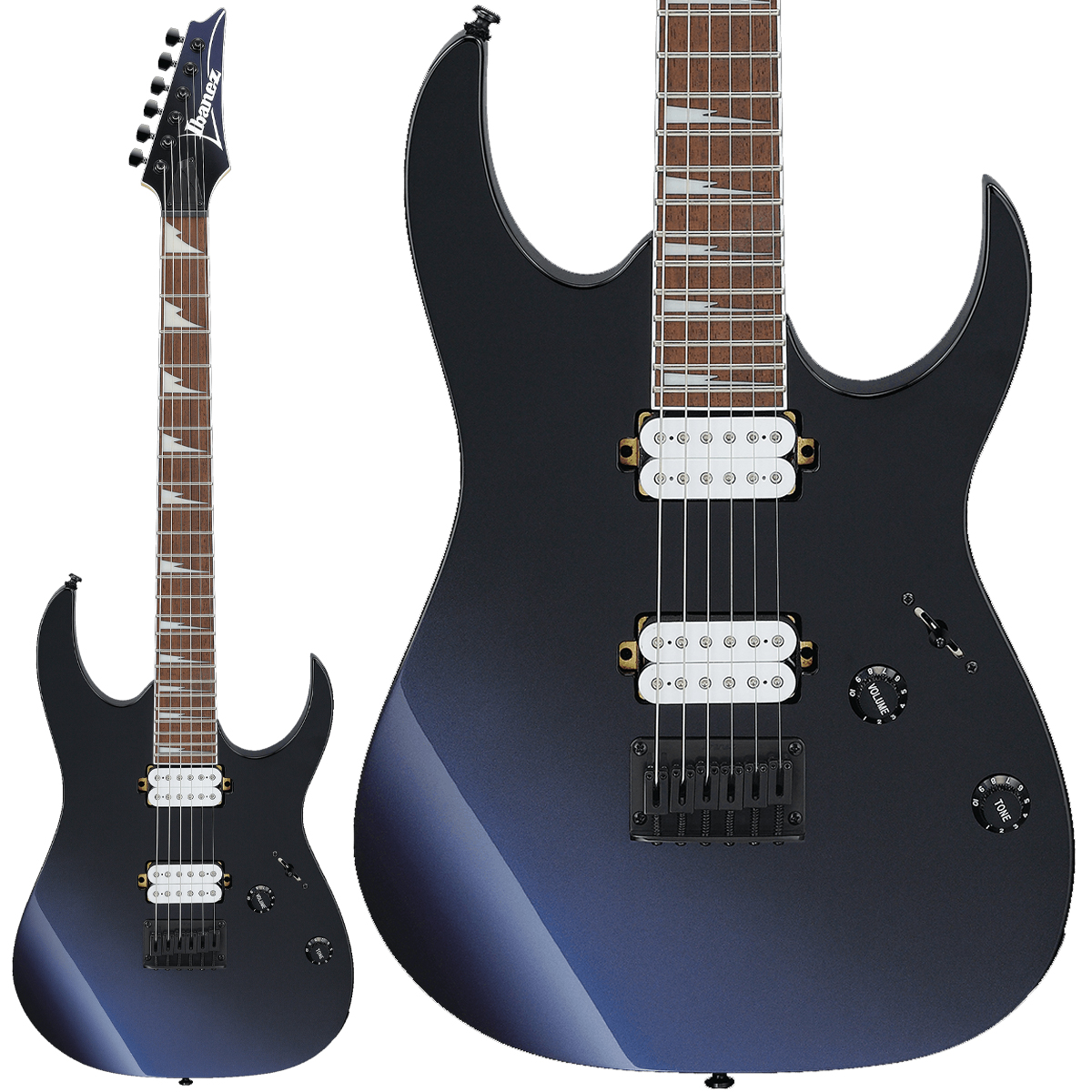 RG421DX  TWS