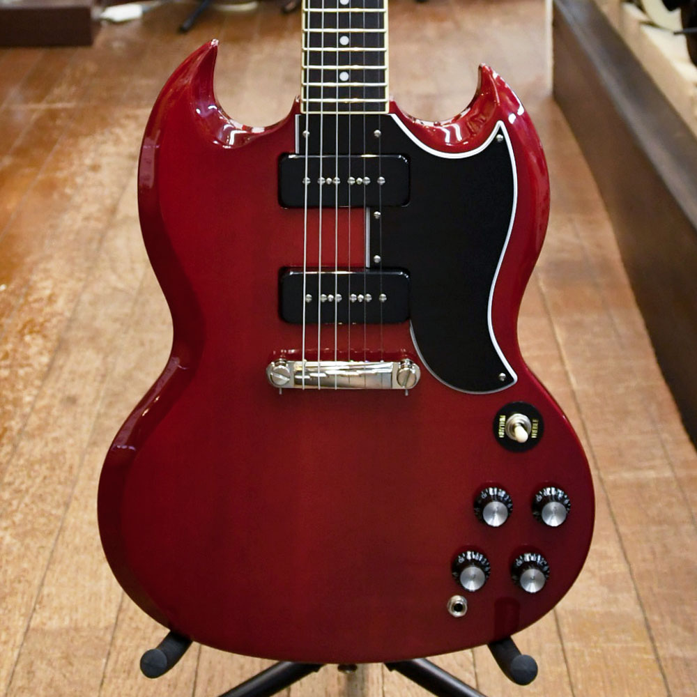 SG Special P-90