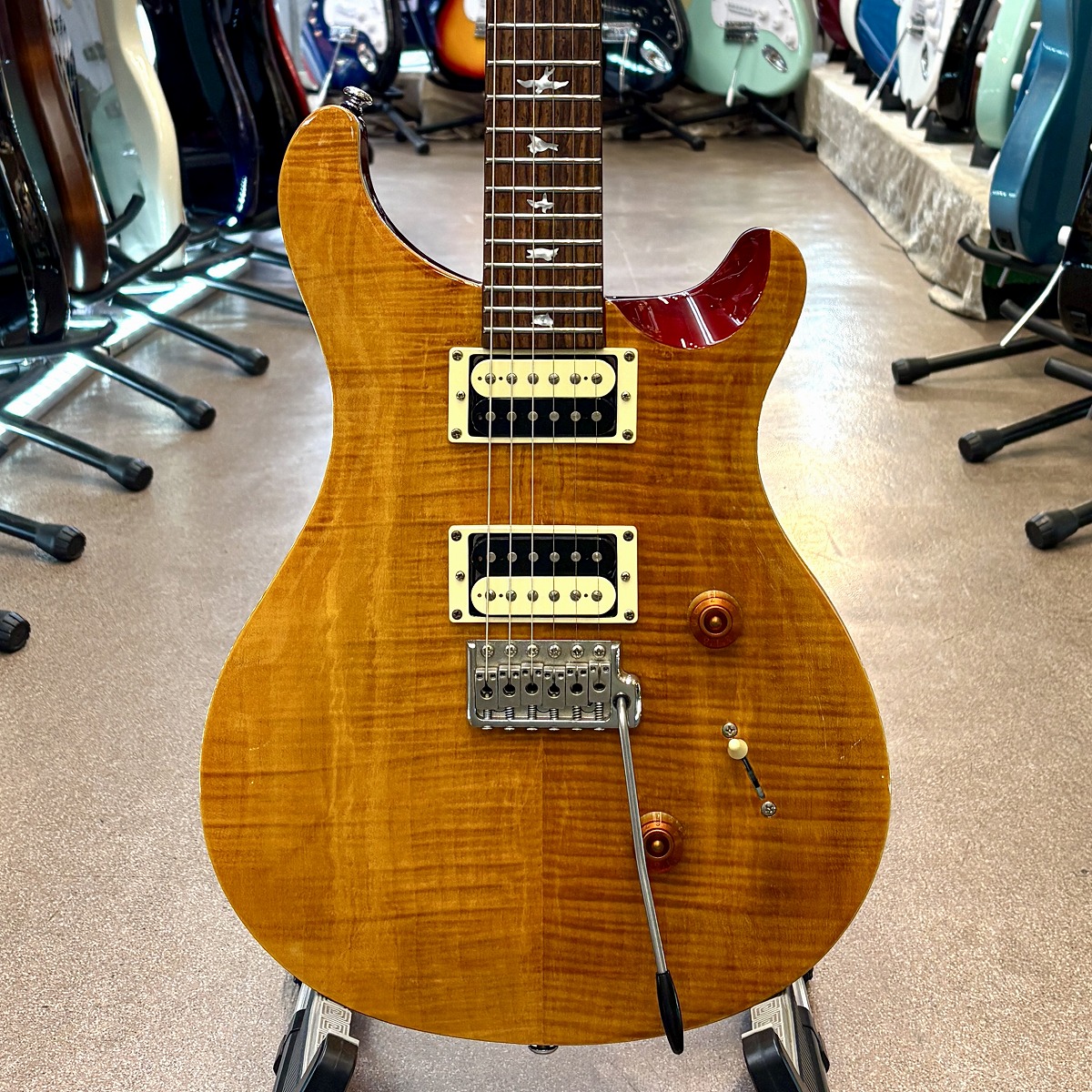SE Custom 24【Paul Reed Smith,ポールリードスミス】