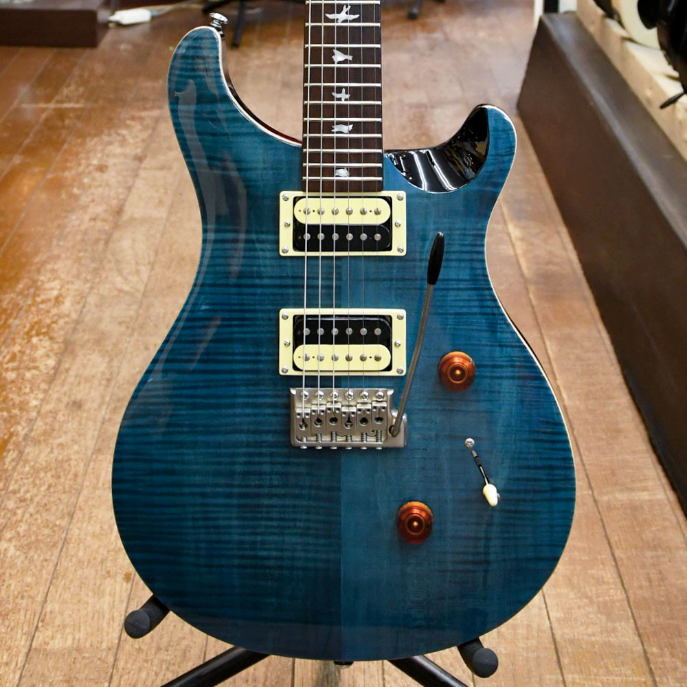 SE Custom 24