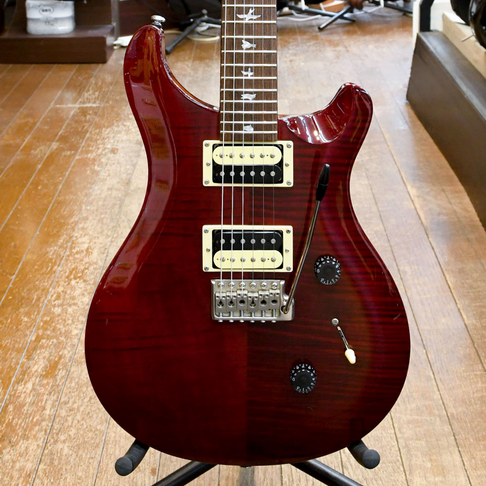 SE Custom 24